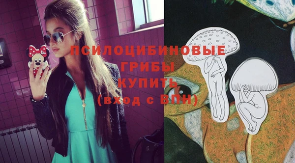 мдпв Беломорск