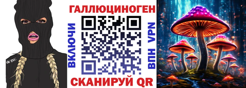 Купить закладки  Кунгур  Галлюциногенные грибы Psilocybe 